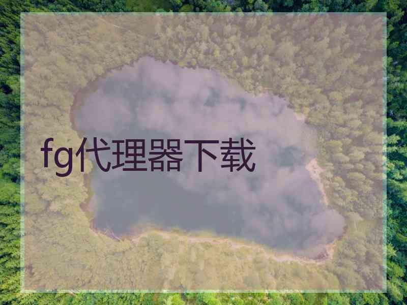 fg代理器下载