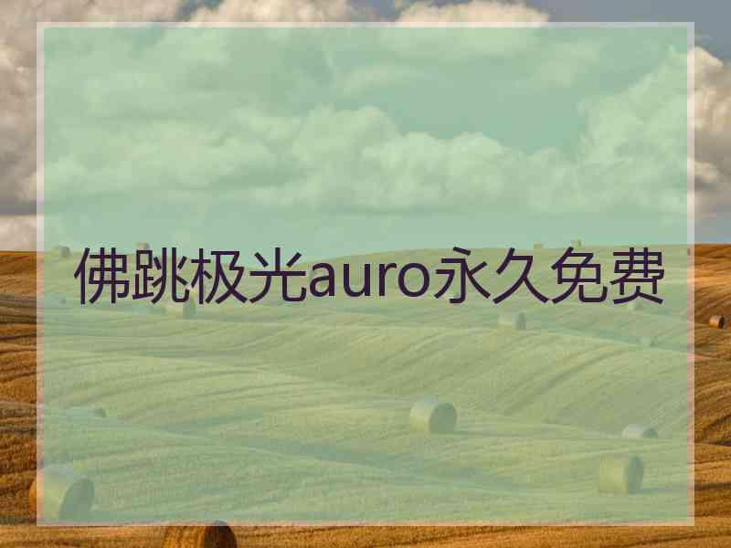 佛跳极光auro永久免费