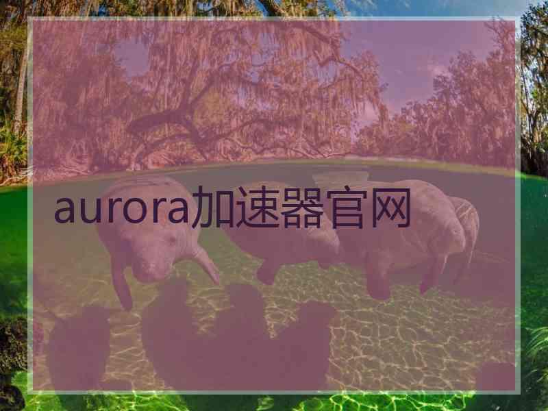 aurora加速器官网