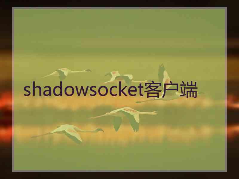shadowsocket客户端