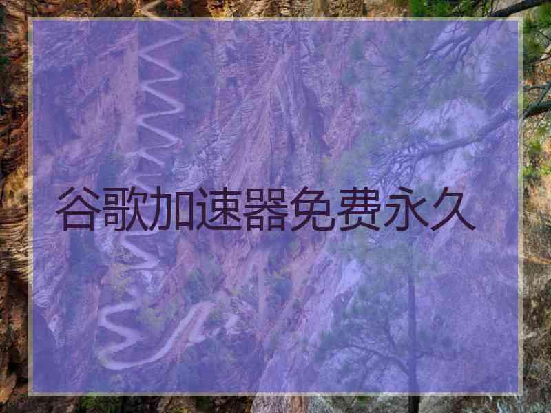 谷歌加速器免费永久