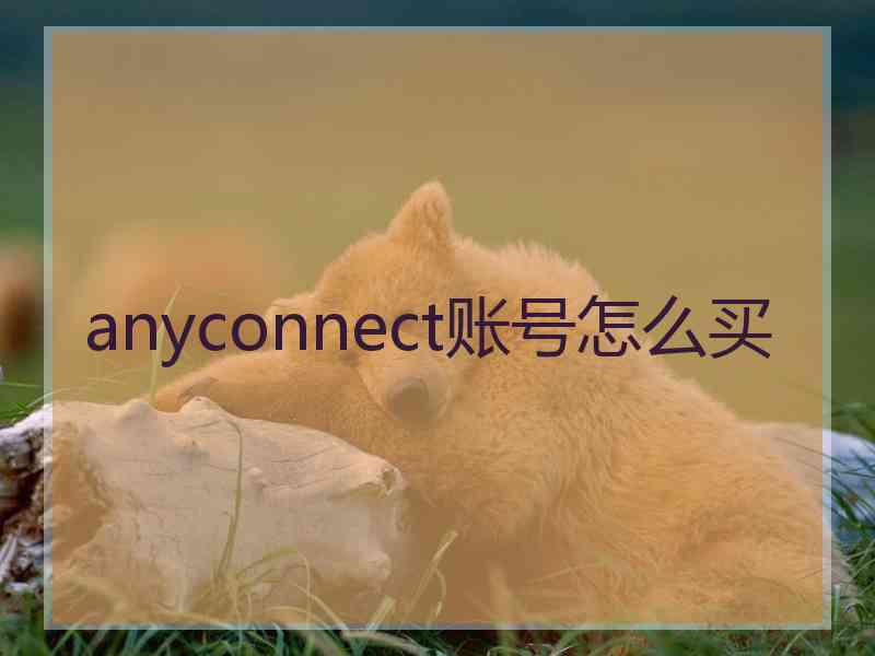 anyconnect账号怎么买