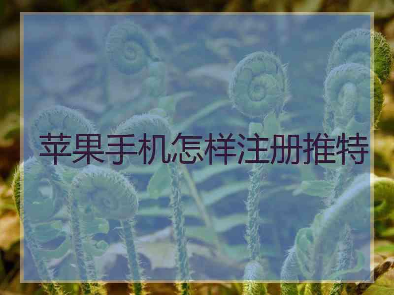 苹果手机怎样注册推特