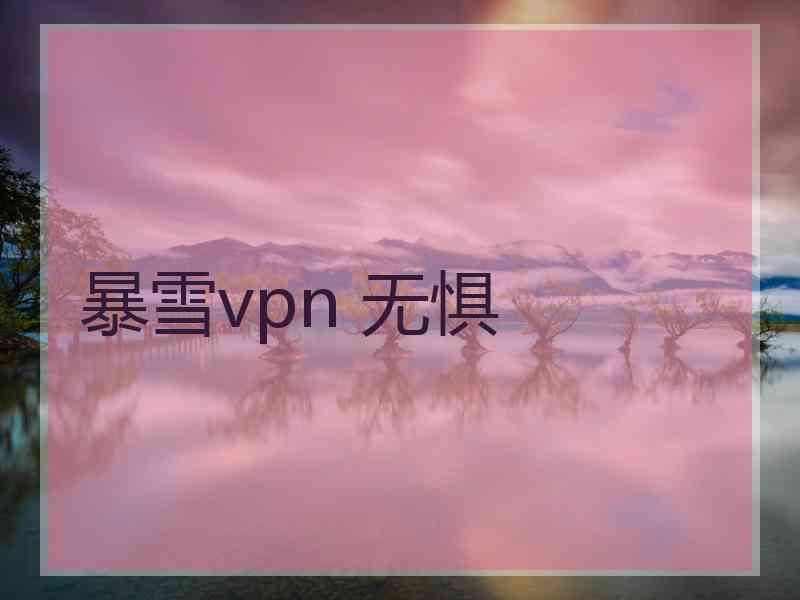 暴雪vpn 无惧