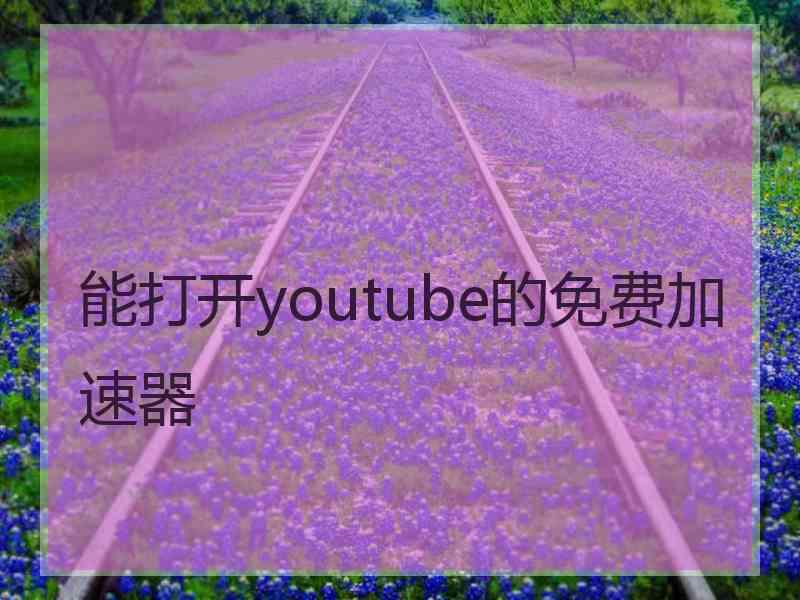 能打开youtube的免费加速器