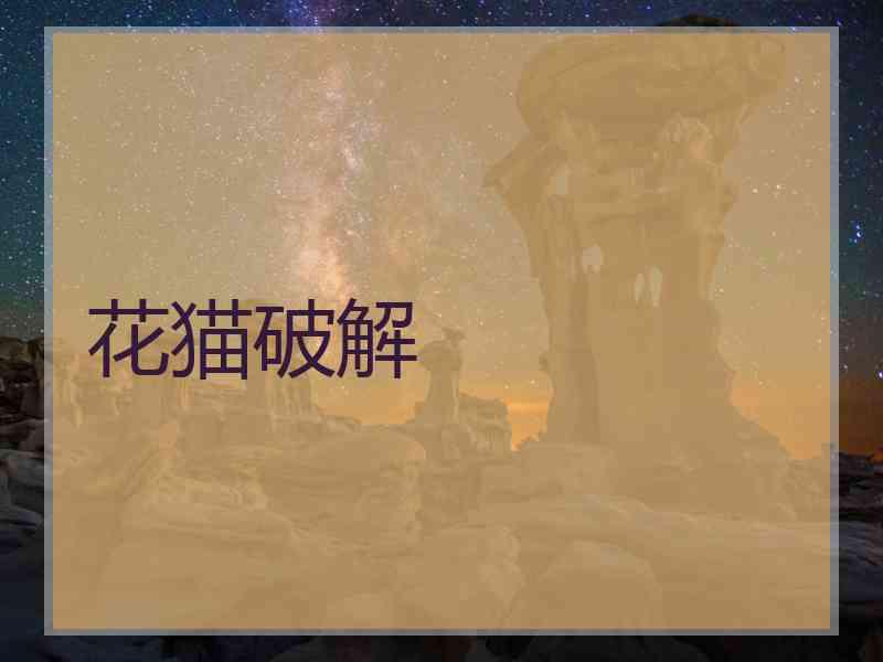 花猫破解