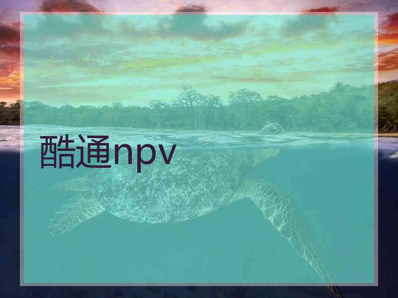酷通npv