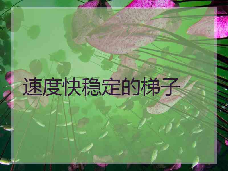 速度快稳定的梯子