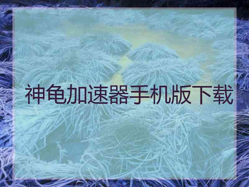神龟加速器手机版下载
