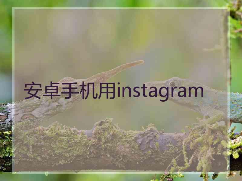 安卓手机用instagram