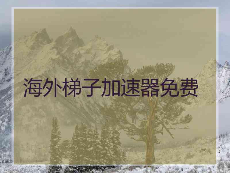 海外梯子加速器免费