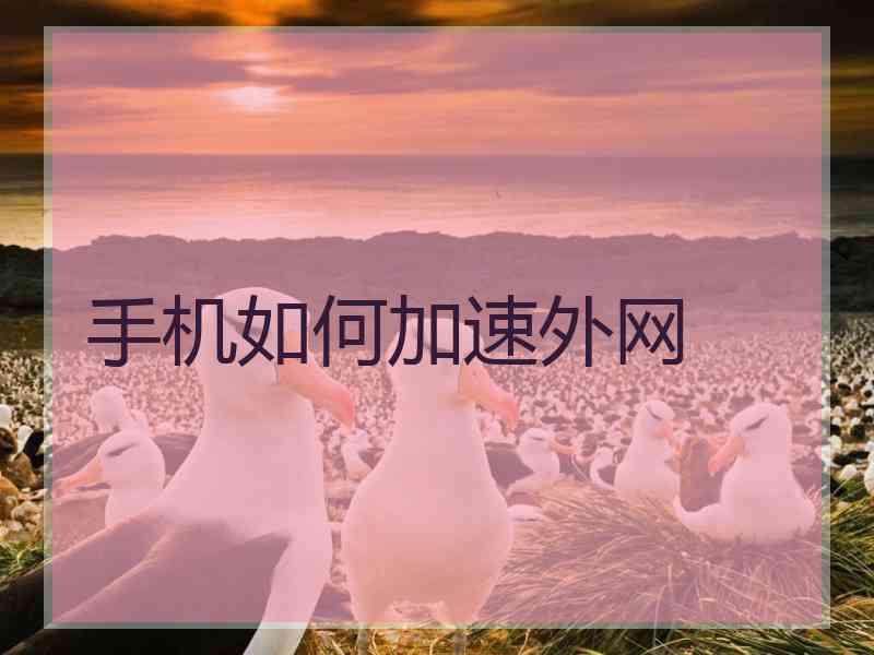 手机如何加速外网