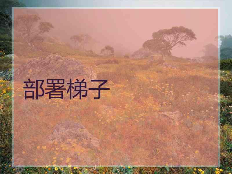 部署梯子
