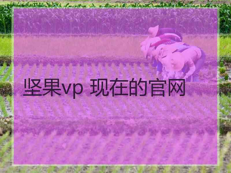 坚果vp 现在的官网