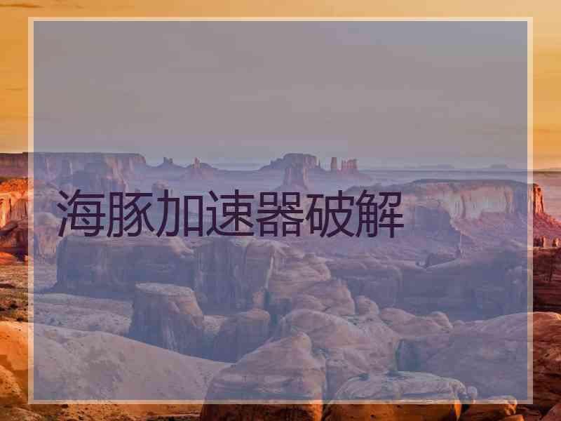 海豚加速器破解