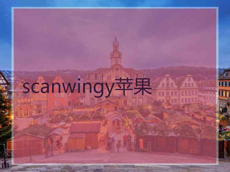 scanwingy苹果
