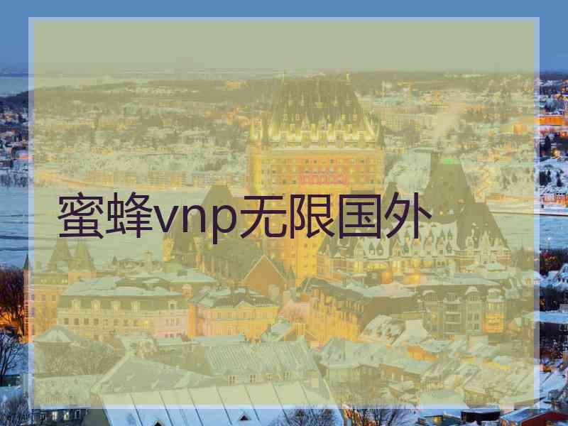 蜜蜂vnp无限国外