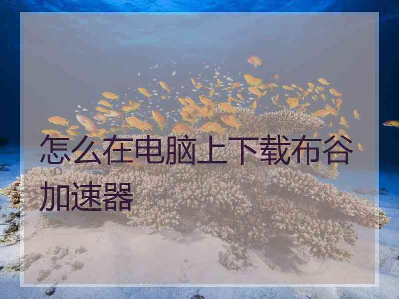 怎么在电脑上下载布谷加速器