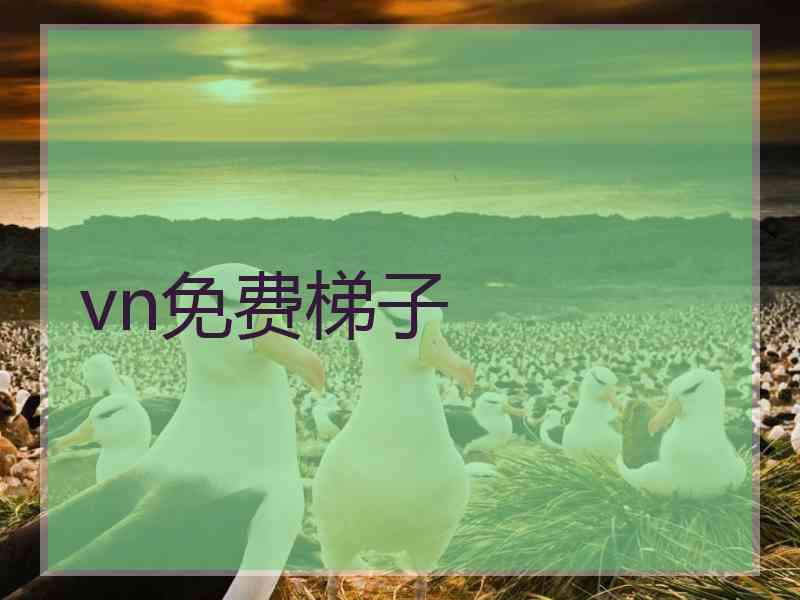 vn免费梯子