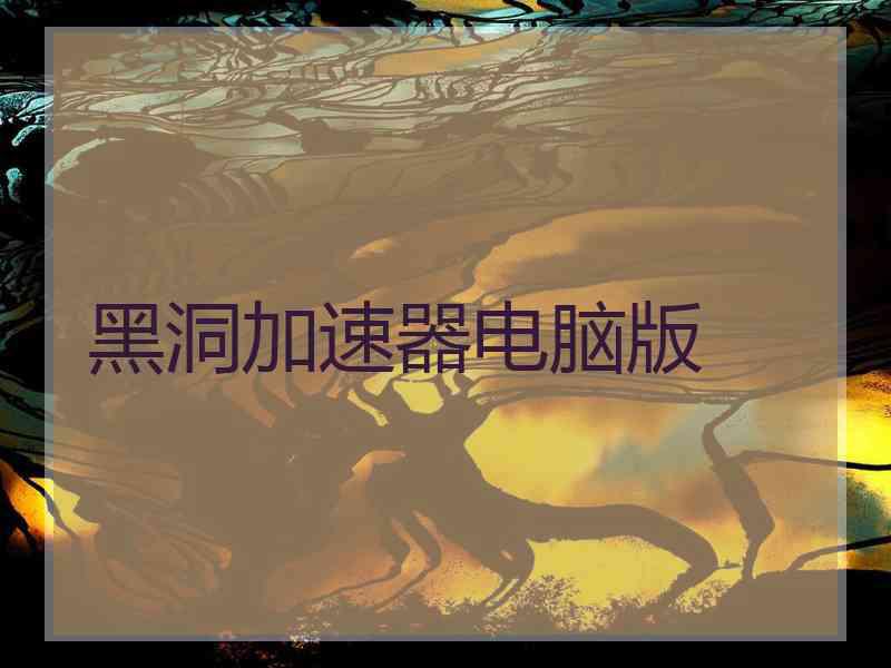 黑洞加速器电脑版