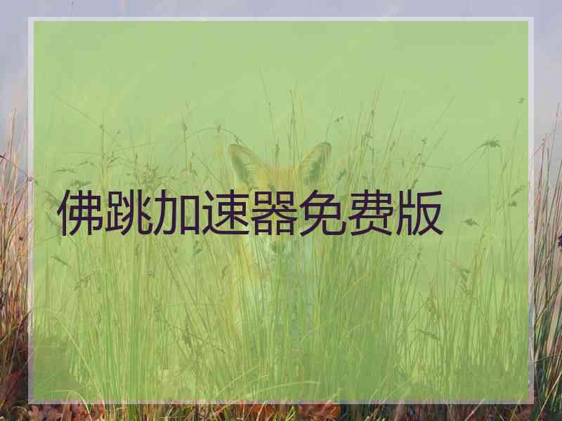 佛跳加速器免费版