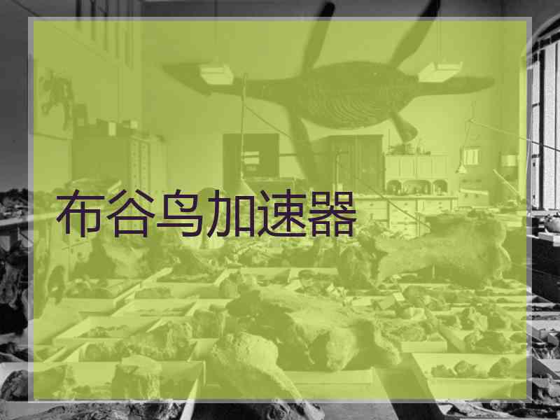 布谷鸟加速器