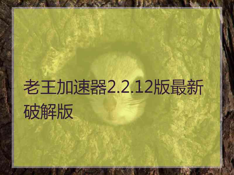老王加速器2.2.12版最新破解版