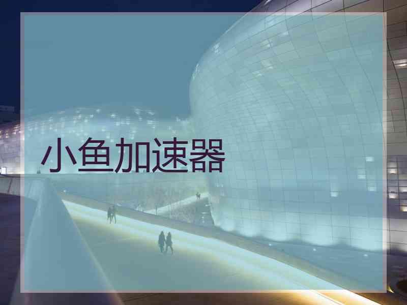 小鱼加速器