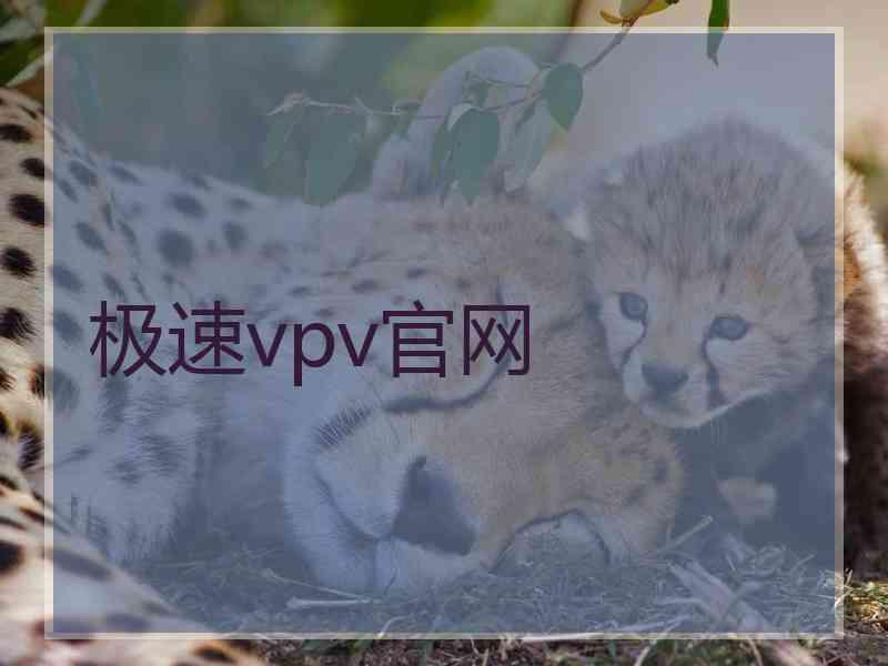 极速vpv官网