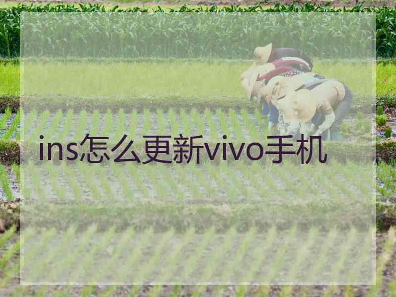 ins怎么更新vivo手机