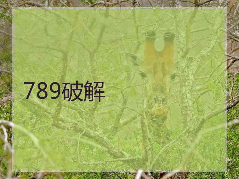 789破解