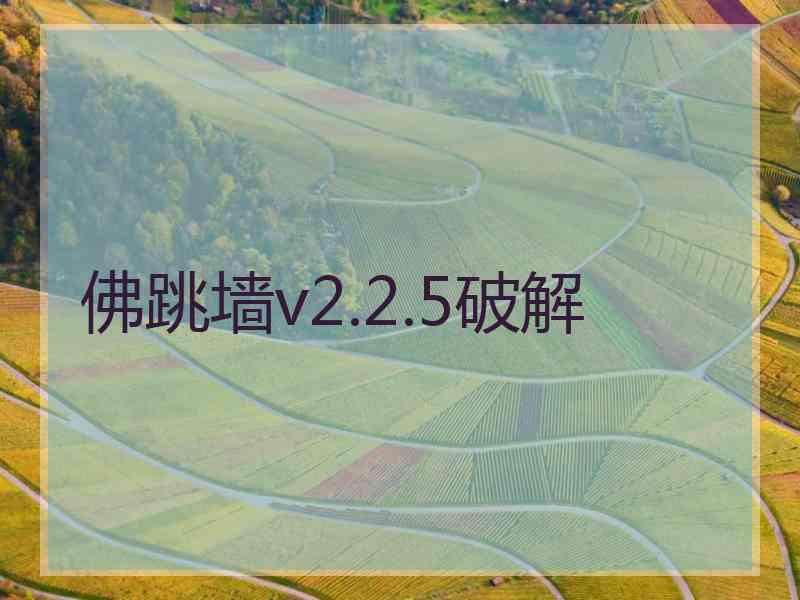 佛跳墙v2.2.5破解