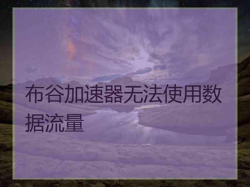 布谷加速器无法使用数据流量