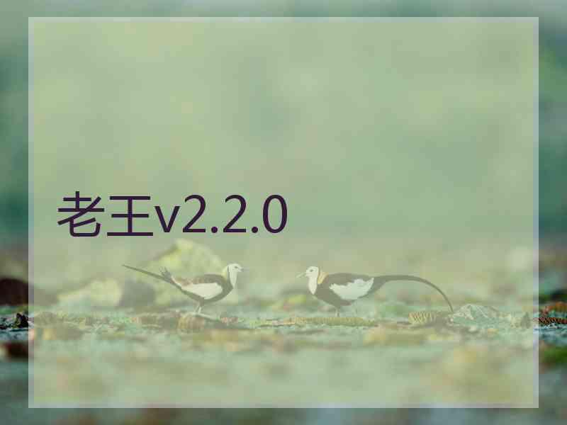 老王v2.2.0