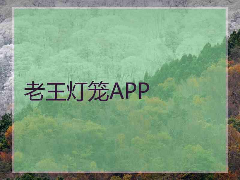 老王灯笼APP