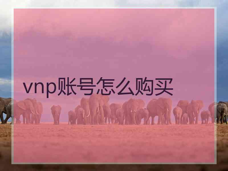 vnp账号怎么购买