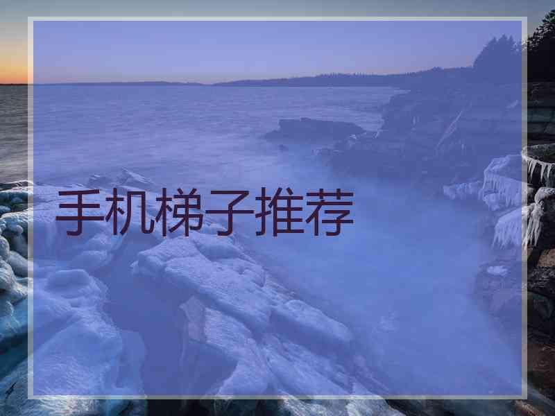 手机梯子推荐