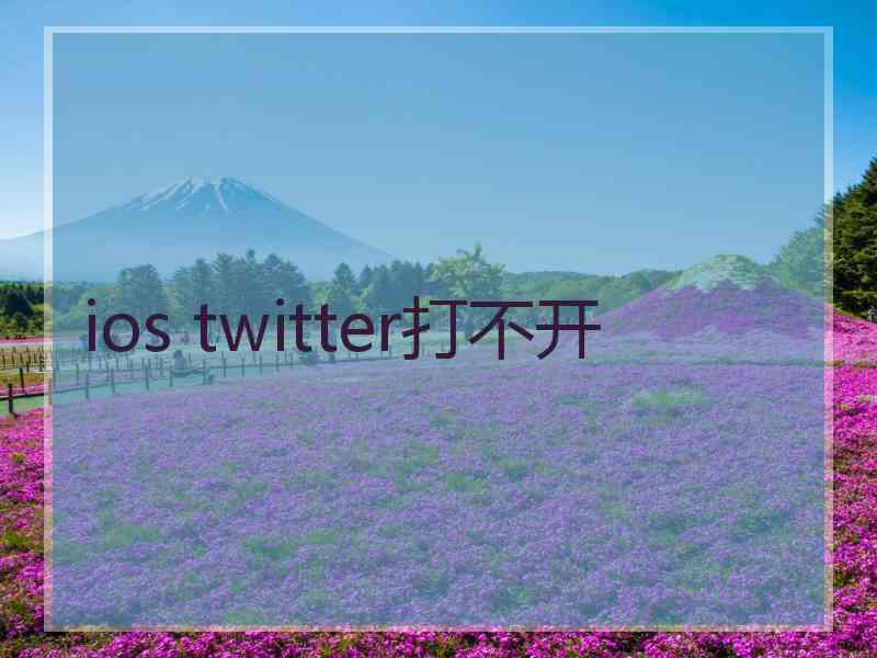 ios twitter打不开