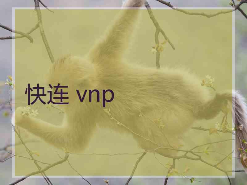 快连 vnp