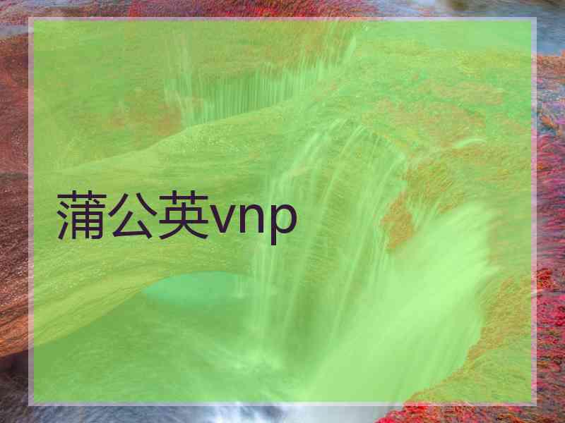 蒲公英vnp