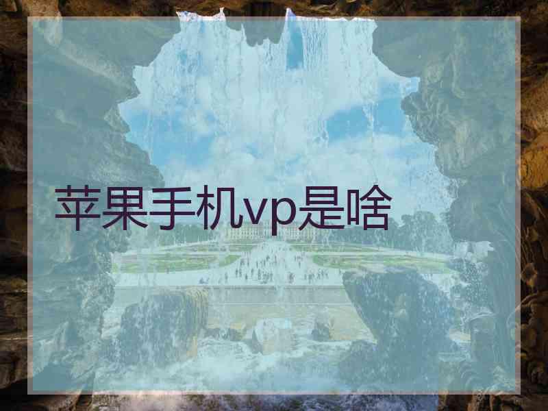 苹果手机vp是啥