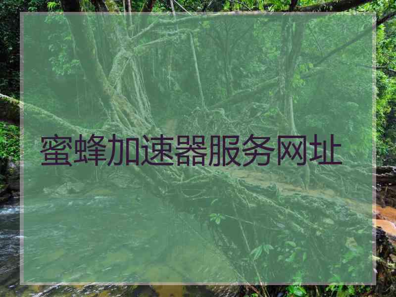 蜜蜂加速器服务网址