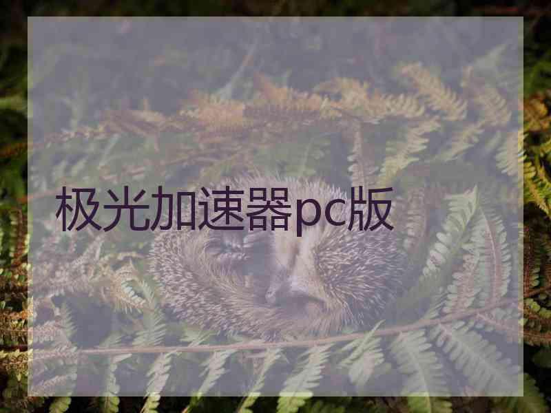 极光加速器pc版