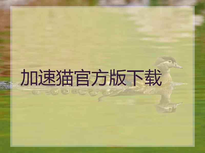 加速猫官方版下载