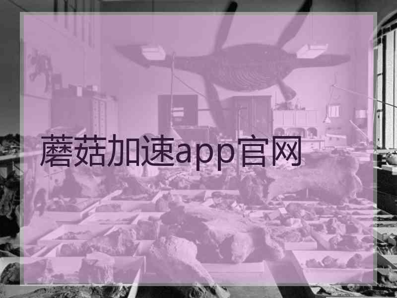 蘑菇加速app官网