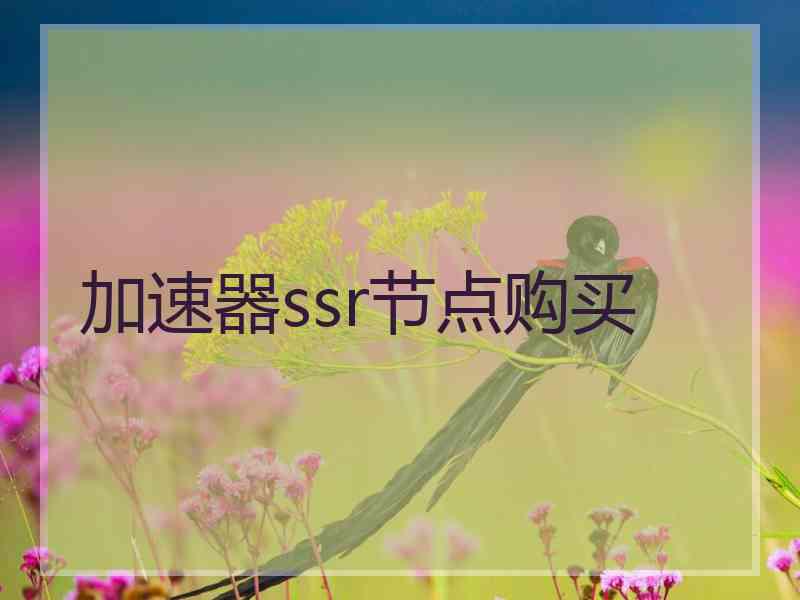 加速器ssr节点购买