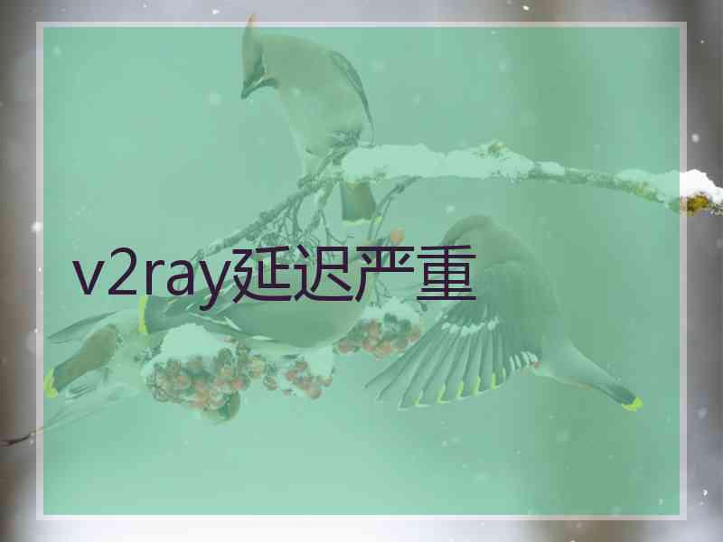 v2ray延迟严重