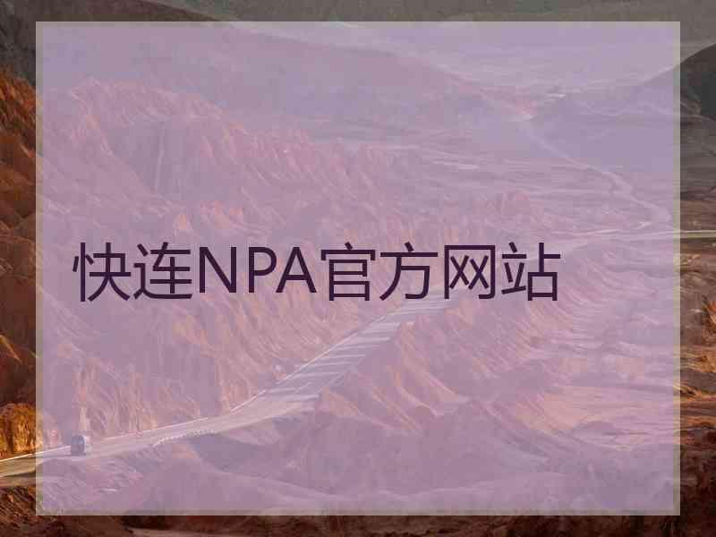 快连NPA官方网站