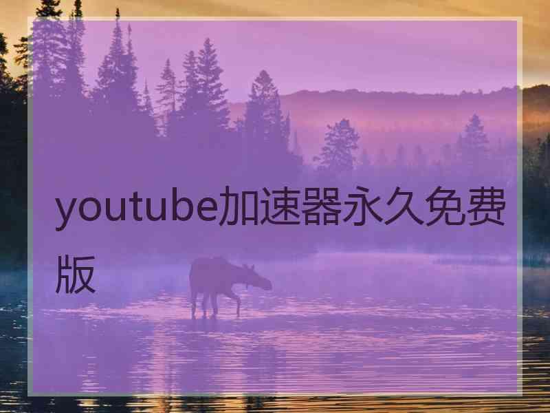 youtube加速器永久免费版