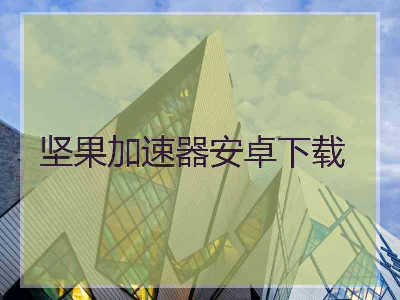 坚果加速器安卓下载